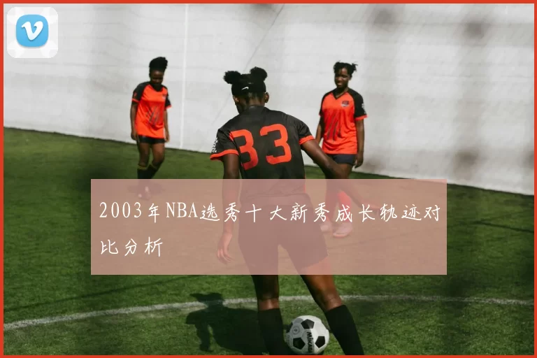 2003年NBA选秀十大新秀成长轨迹对比分析
