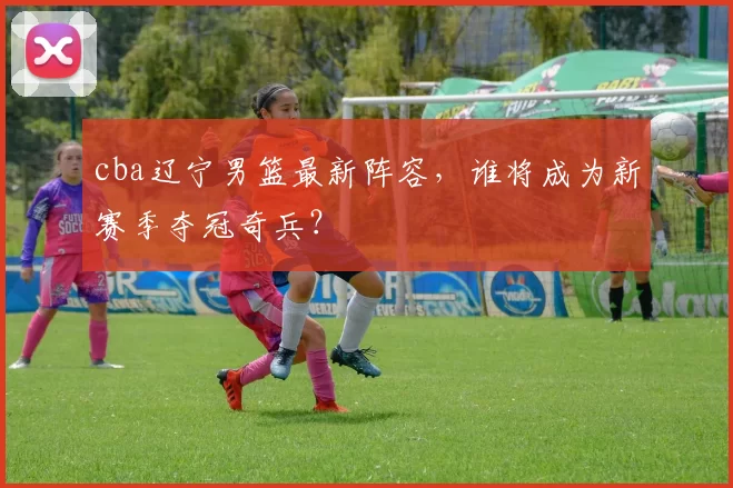 cba辽宁男篮最新阵容，谁将成为新赛季夺冠奇兵？